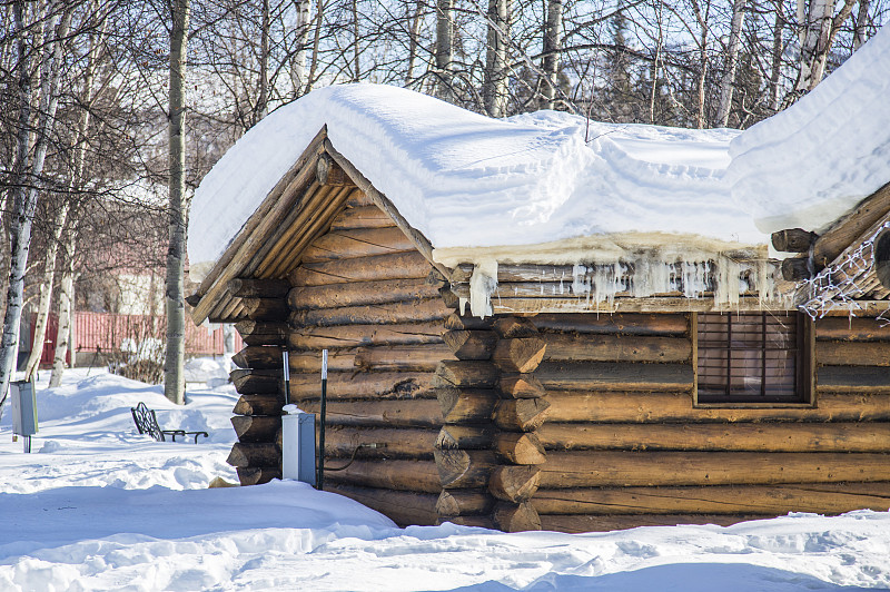 雪景,雪,枯樹,小木屋圖片素材