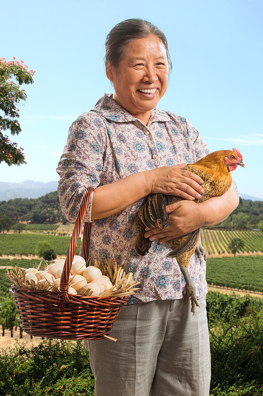 農民拿著雞蛋和母雞圖片素材