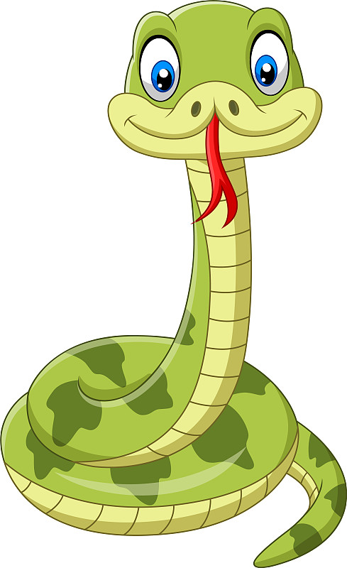 可爱的绿色蛇卡通在白色的图片