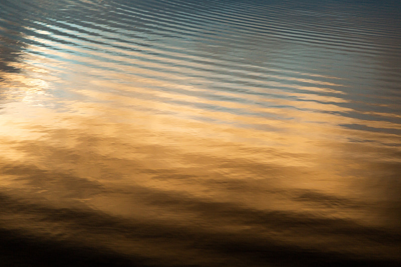 金色的漣漪在水中圖片素材