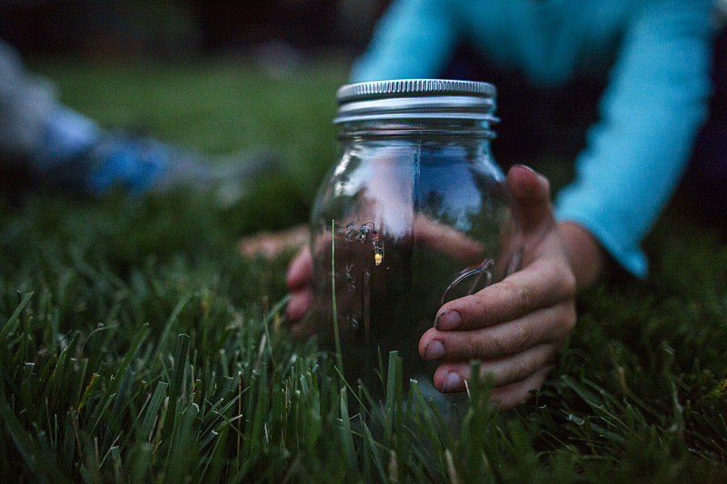 草地上，男孩雙手抱著裝有螢火蟲的玻璃罐圖片素材