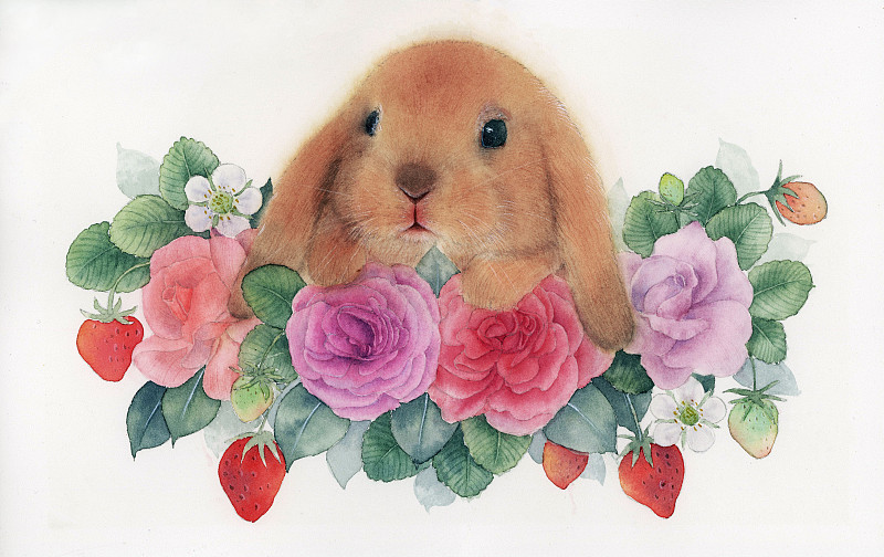 兔子和花圖片素材