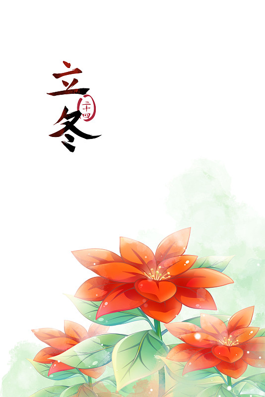 立冬——一品紅，古風水彩二十四節氣系列唯美花卉插畫圖片