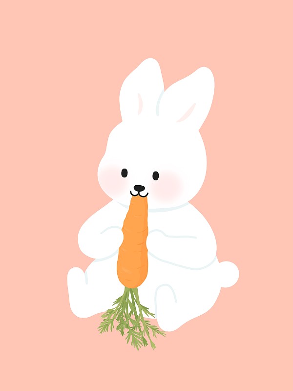 吃胡蘿卜的可愛兔子圖片素材
