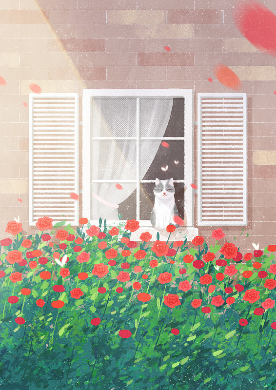 小清新插画节气窗户阳光玫瑰花墙猫下载
