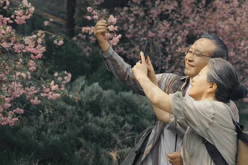 老年人City walk系列:老年夫妇在北京北海公园用手机拍花海图片下载