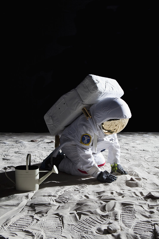 一个在月球上园艺的宇航员图片下载