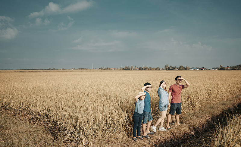 周末早上，一個亞洲華人家庭在稻田里度過閑暇時光圖片素材