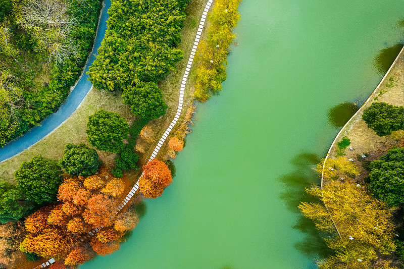秋天，無人機航拍，濕地公園和步行街。中國江蘇省江陰市圖片下載