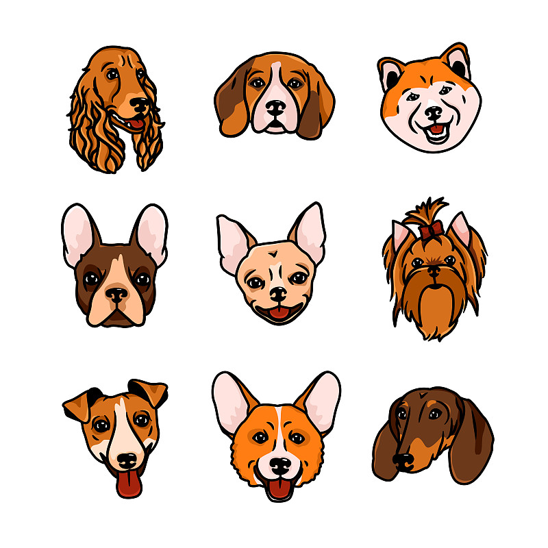 矢量圖像。不同品種的狗的嘴插畫圖片