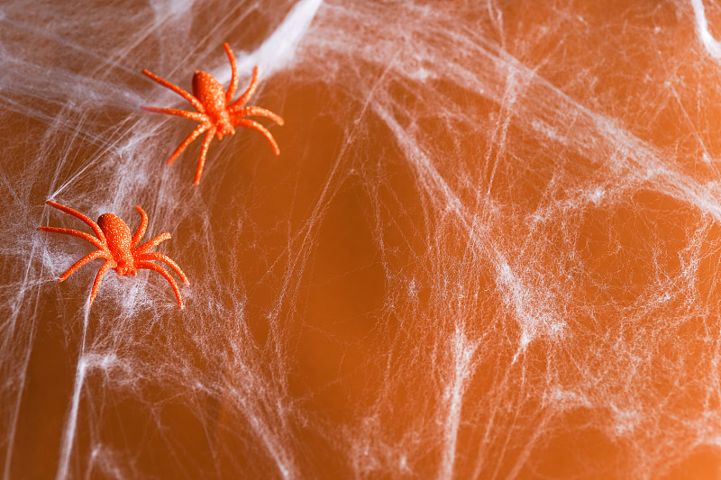 萬圣節背景由白色蜘蛛網和橙色閃閃發光的蜘蛛在橙色。節日裝飾的概念?？植篮涂植赖谋尘芭c復制空間為您的設計攝影圖片