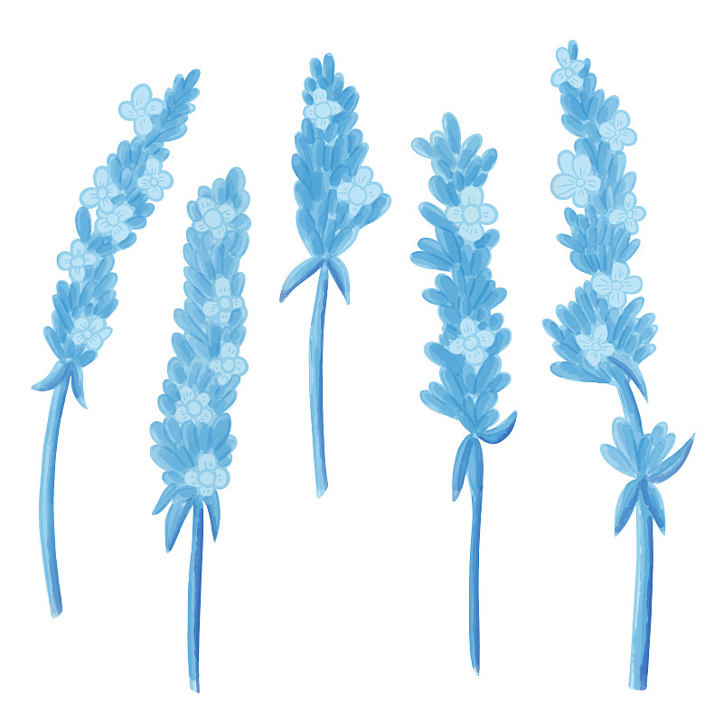 一套水彩花，藍色植物剪貼畫插畫圖片