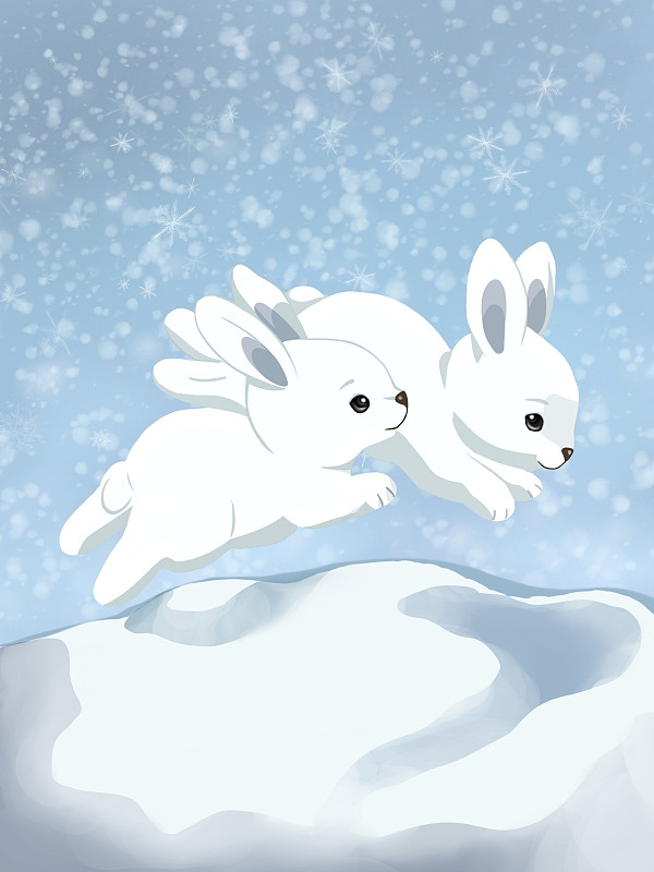 冬天跑兔子圖片下載