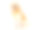 成年金毛獵犬坐在鏡頭前微笑，孤立在白色素材圖片