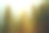 阳光在云杉雾林的背景山图片下载