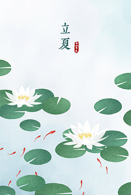 节气系列-简约中国风插画摄影图片专题