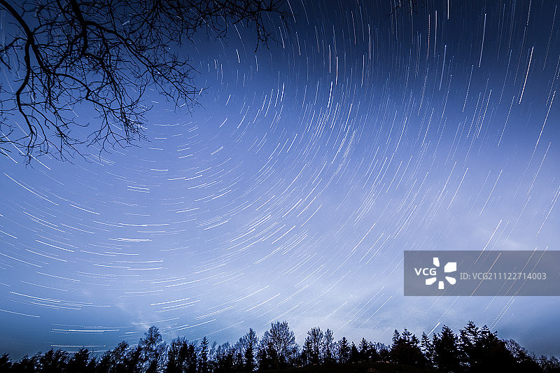 丹麦纳斯特夫，树梢上方蓝色天空中的流星雨图片素材