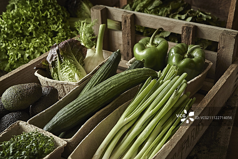 新鲜，有机，健康，绿色蔬菜收获品种木箱图片素材