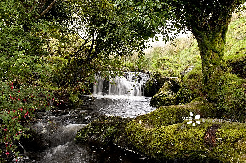 爱尔兰凯里环的瀑布和树木图片素材