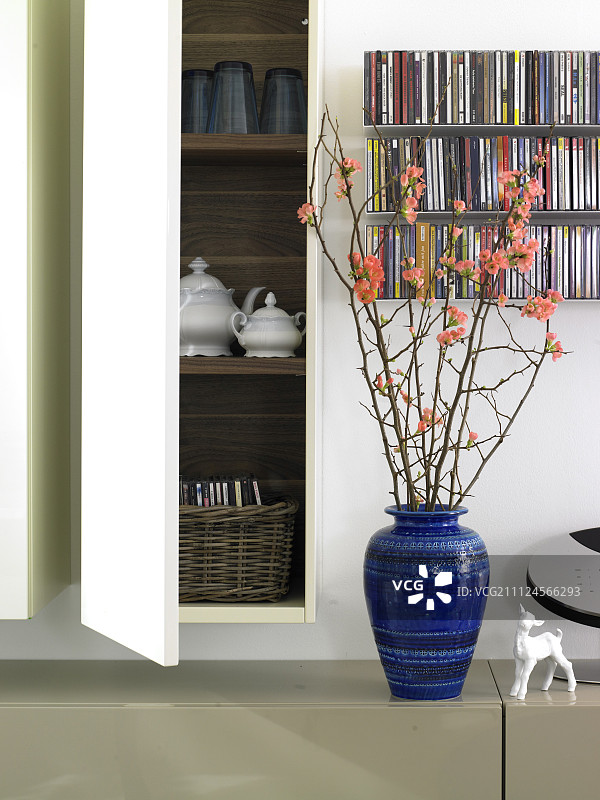 室内挂柜，CD架，蓝花瓶插花枝图片素材