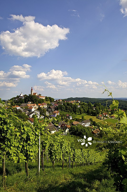 奥地利斯蒂里亚东南部的斯特拉登葡萄酒图片素材