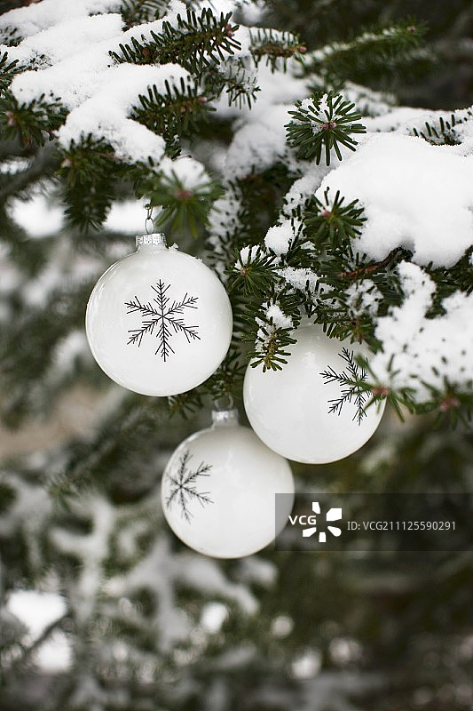 白雪覆盖的冷杉树枝上挂着雪花图案的白色圣诞装饰物图片素材