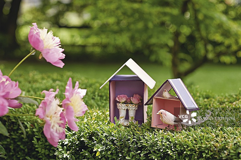 花园中手工制作的纸板屋中的小鸟和玫瑰图片素材
