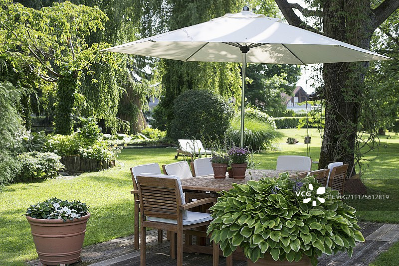 夏日花园中的遮阳伞和白色坐垫的木椅图片素材