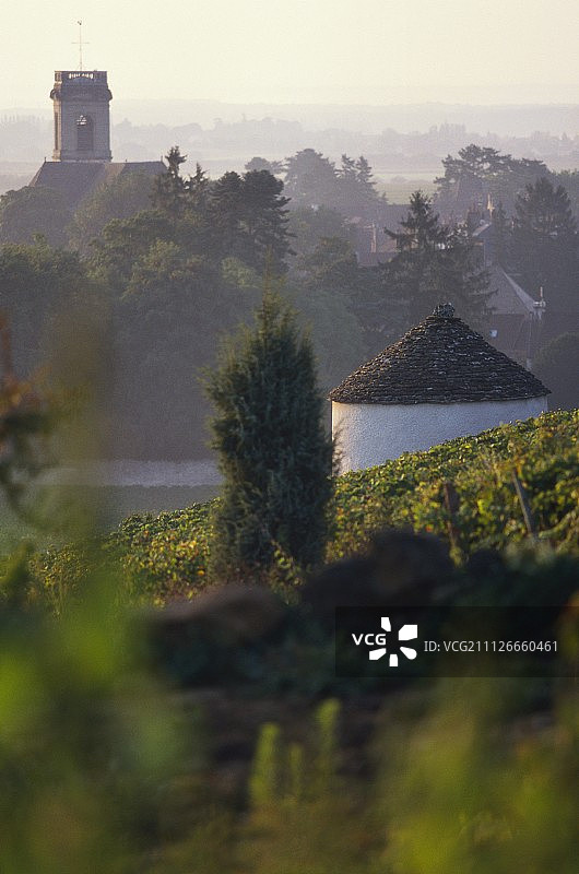波玛，葡萄酒之乡，勃艮第，享有盛誉图片素材