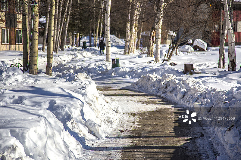 雪景,雪,树,道路图片素材