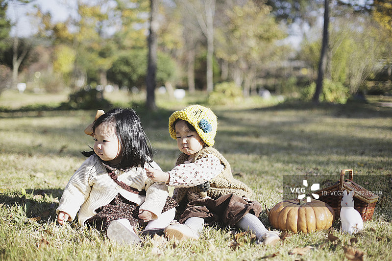小女孩坐在草地上，旁边是野餐篮，南瓜和兔子玩具图片素材