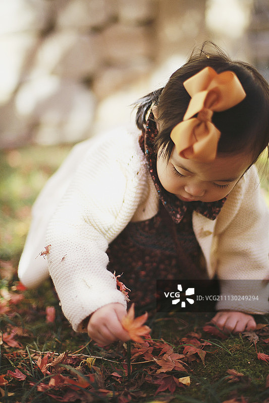 小女孩玩树叶的照片图片素材