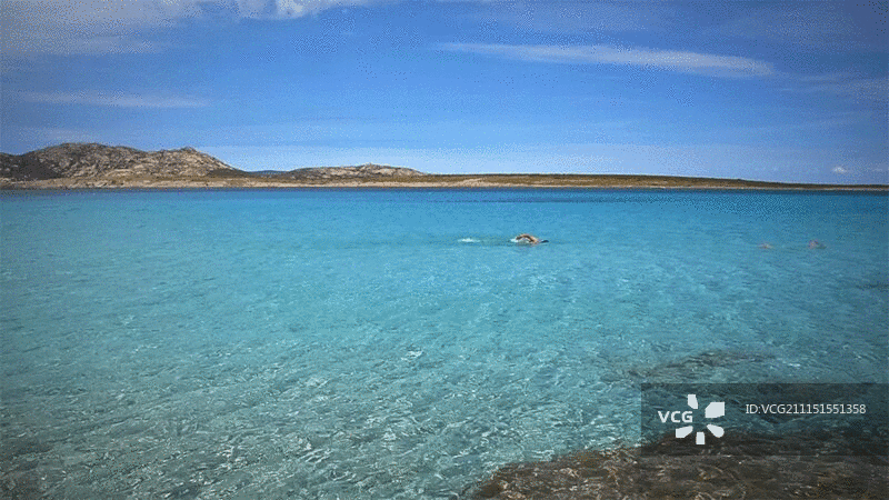 在撒丁岛斯丁蒂诺的蓝色大海里游泳的人图片素材