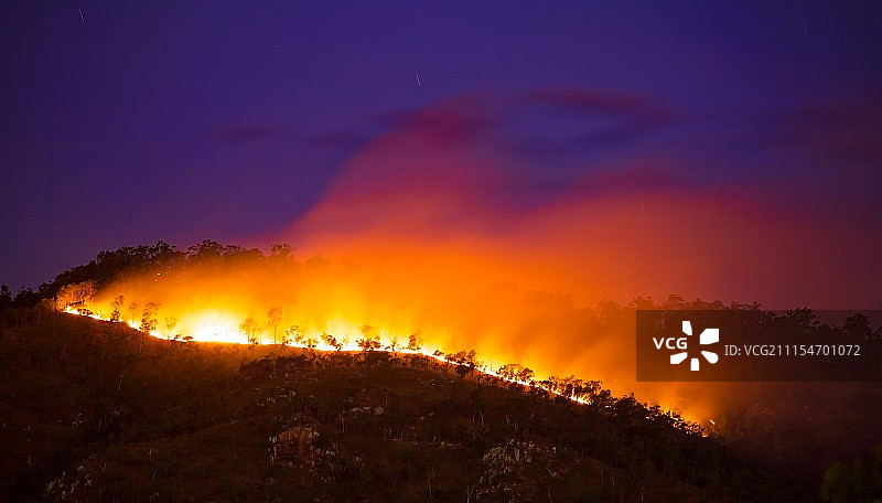 森林大火在黄昏图片素材
