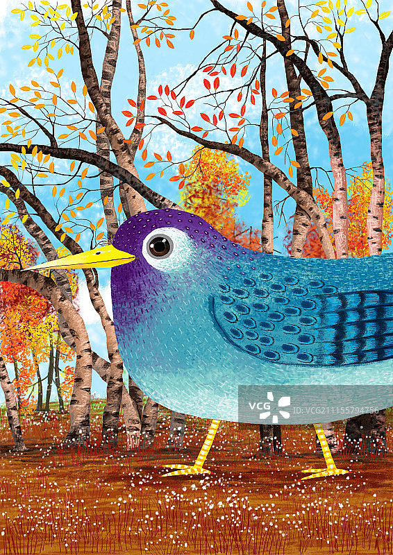动物插画系列作品共3000幅-树林里的大鸟图片素材