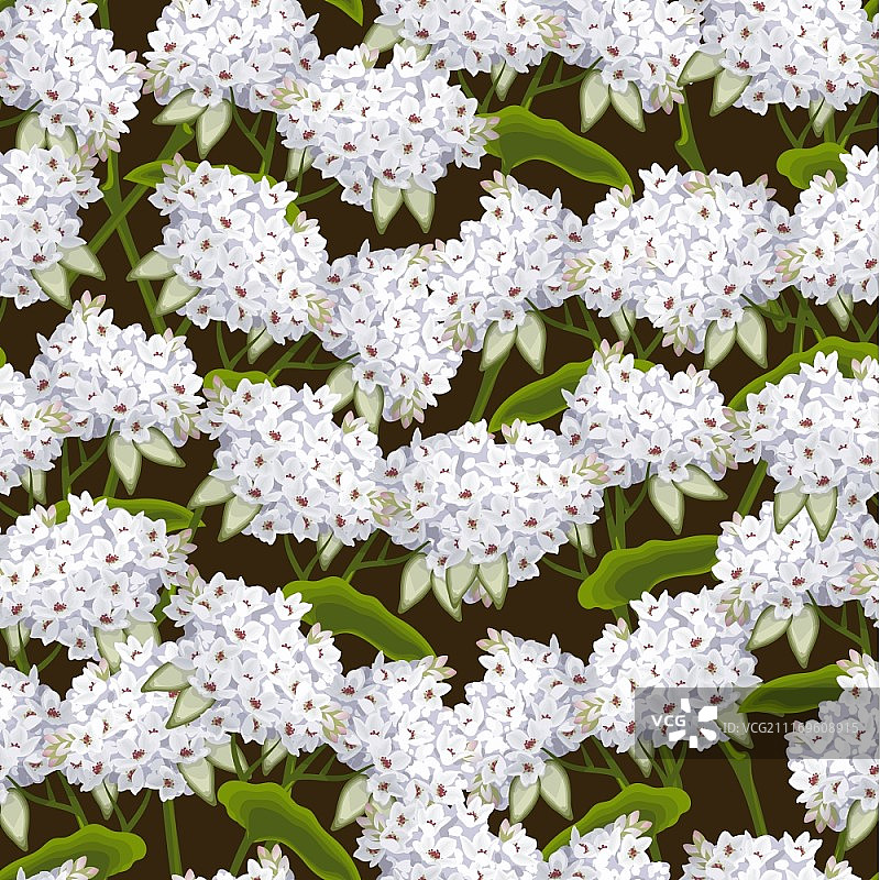开花芳香荞麦夏季树花无缝背景矢量插图图片素材