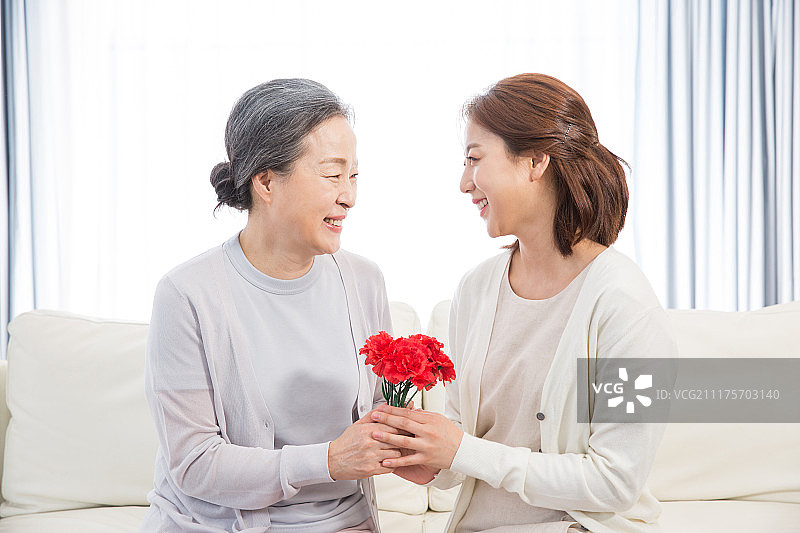 韩语，家庭，家庭月，母亲节，康乃馨，母亲(父母)，女儿，微笑，面对图片素材