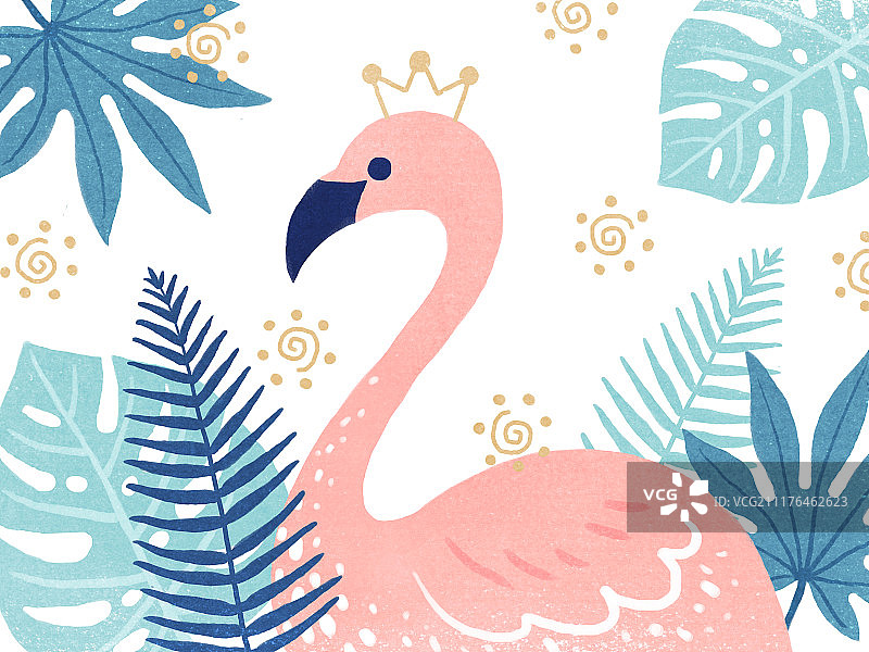 火烈鸟热带植物插画图片素材