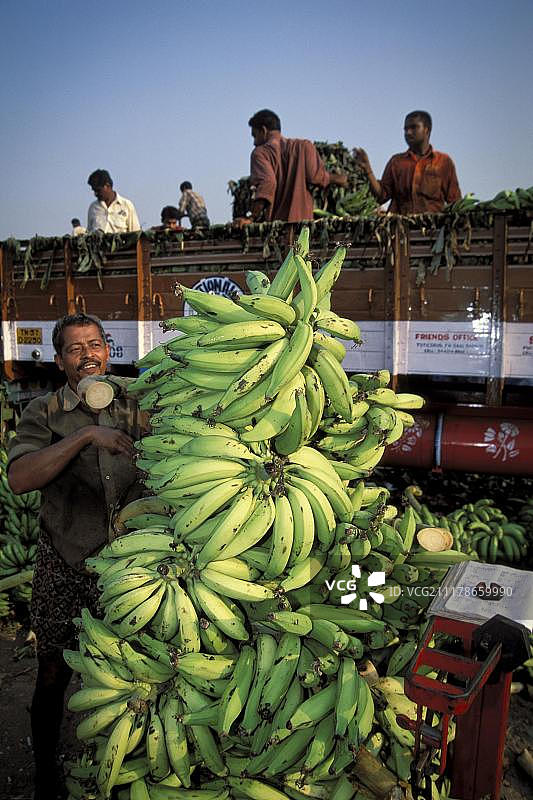 香蕉称重，香蕉市场，Thrissur，喀拉拉邦，南印度，印度，亚洲图片素材