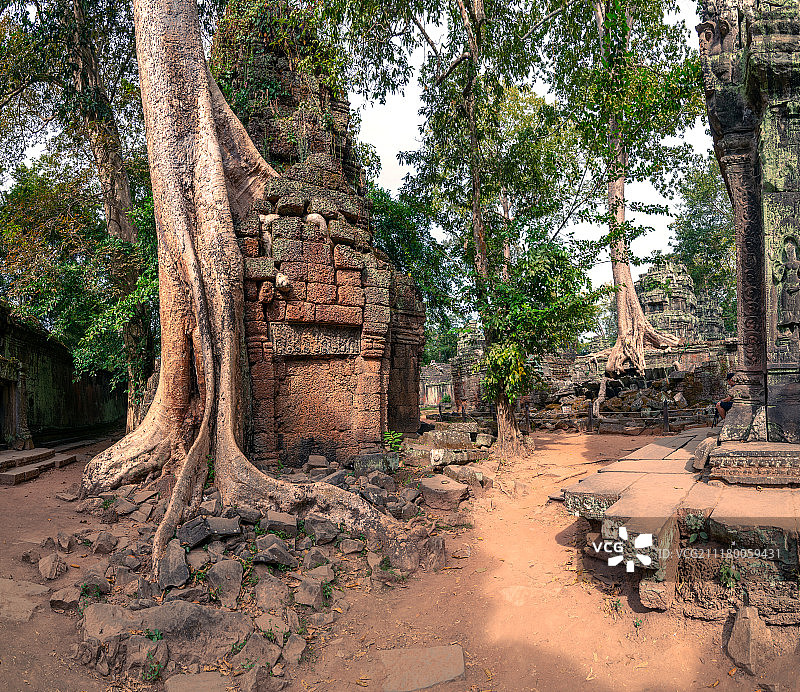 树木生长在塔普罗姆寺的废墟上，吴哥窟的庙宇，吴哥窟…图片素材