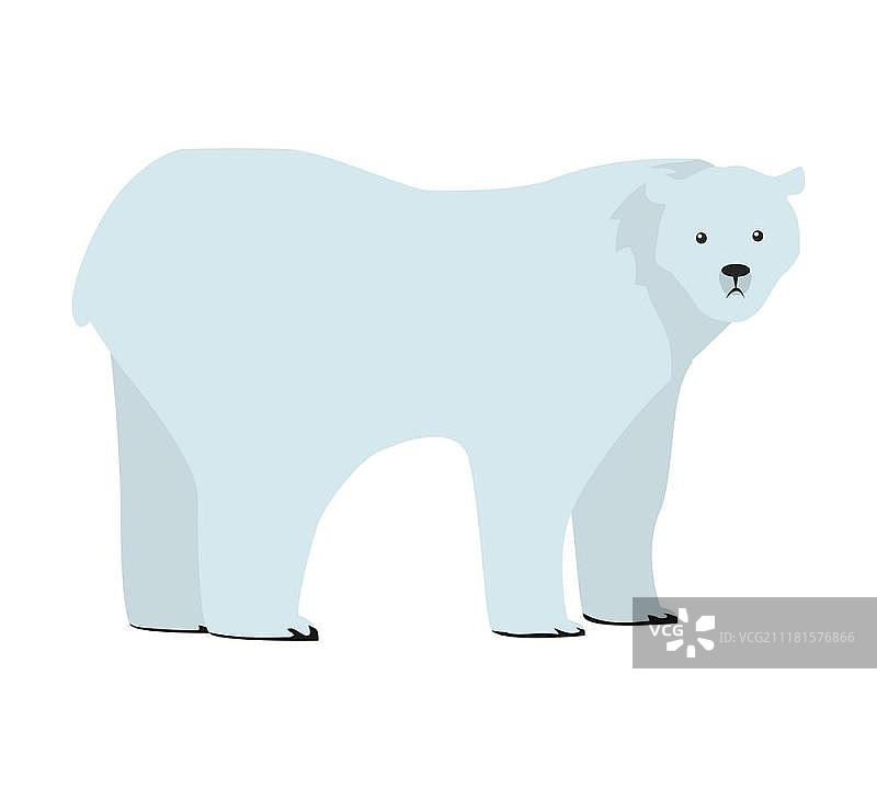 北极熊平面风格矢量。野生危险的食肉动物。北动物物种。为自然概念、儿童图书插图、印刷材料。孤立在白色背景上。平面设计中的北极熊矢量插图。平面设计中的北极熊矢量插图图片素材