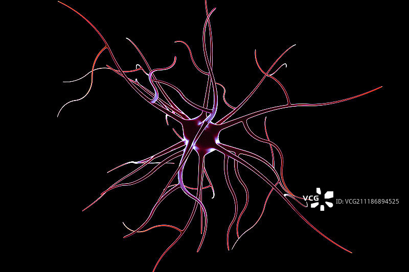 3D神经细胞图片素材