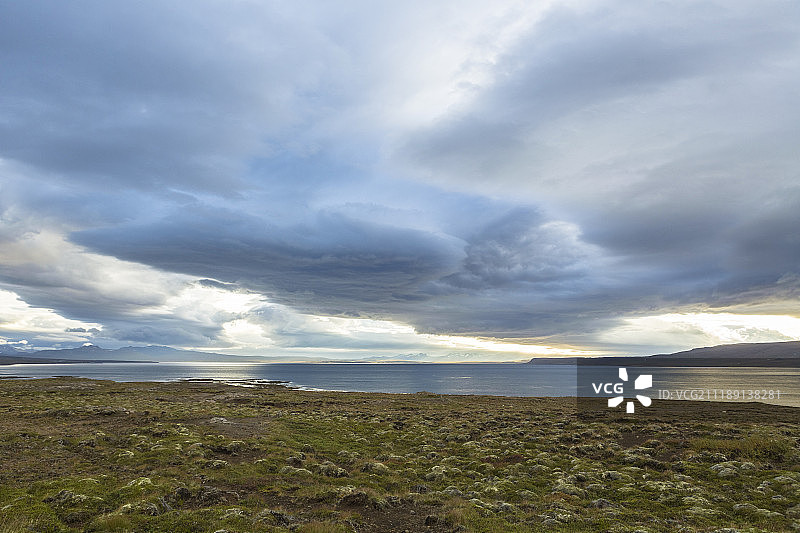 后板显示与苔藓的海岸景色和海洋在冰岛图片素材
