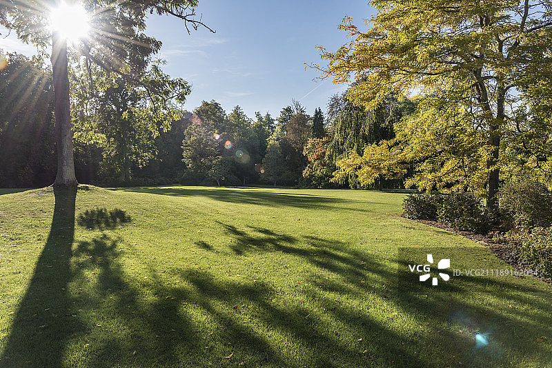 背板显示一个大花园整洁的草地和树木在德国图片素材