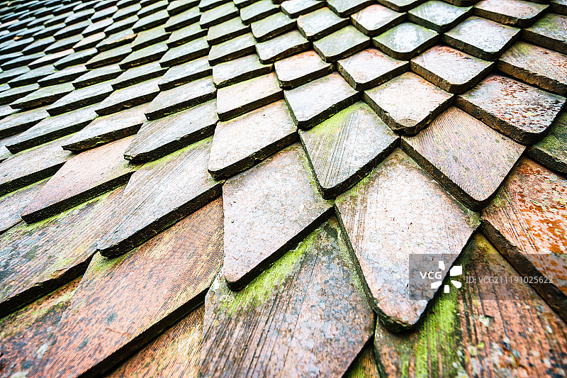 铺着苔藓的瓦屋顶图片素材