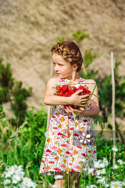 可爱的小女孩摆姿势与新鲜的红草莓在阳光灿烂的G图片素材