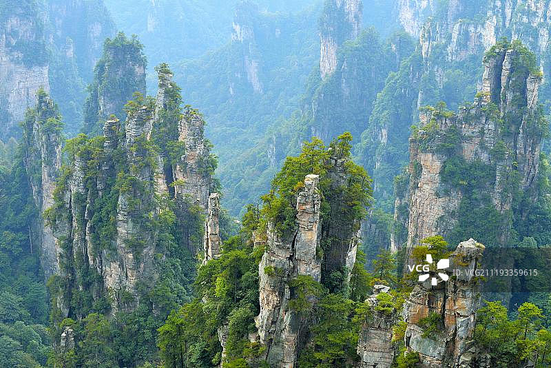 天子山石英砂垂直岩柱，张家界国家公园，中国，亚洲图片素材