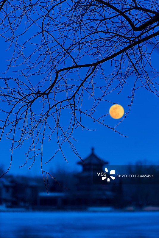 北京什刹海月夜图片素材