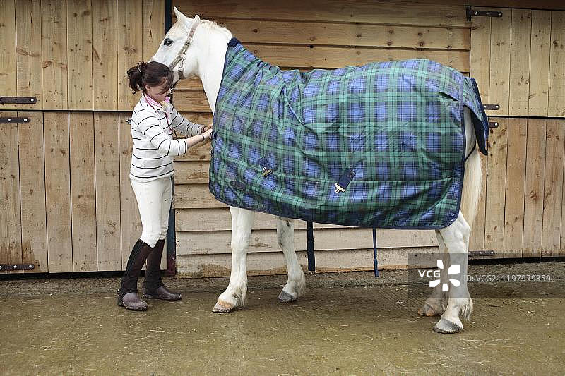 威尔士小马，与女孩主人装配地毯，马厩外，波伊斯，威尔士，英国，欧洲图片素材