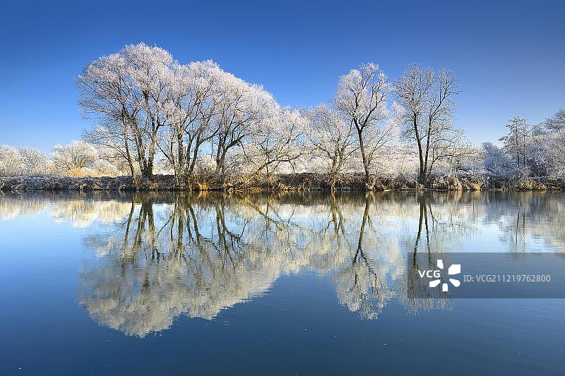 欧洲德国萨克森-安哈尔特魏森费尔斯的萨尔河上，树上挂着白霜图片素材